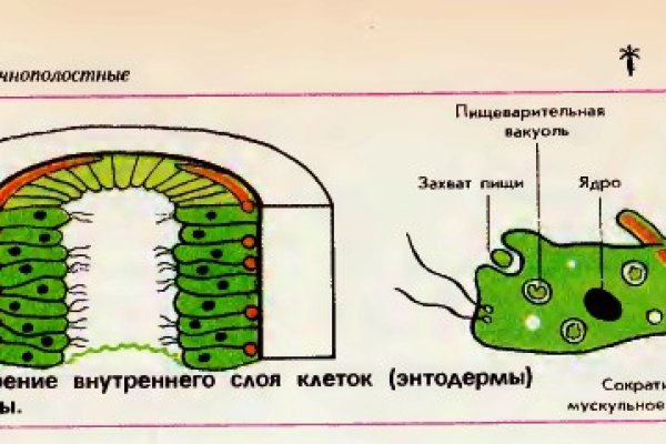 Сайт кракен через тор