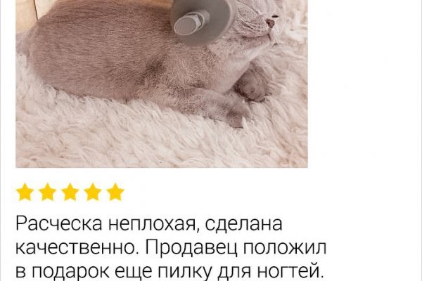 Как зайти на кракен через браузер