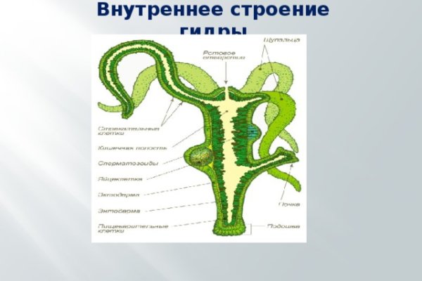 Наркосайт кракен