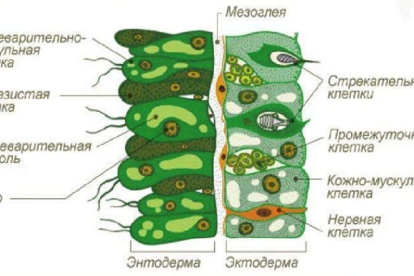 Kraken наркотики